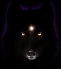 Blackwolf 7